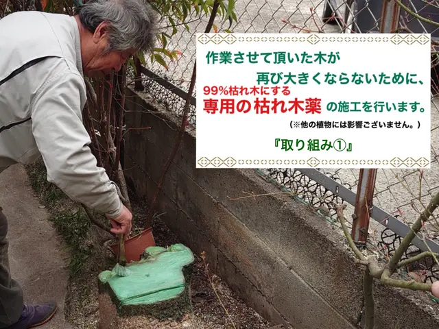 『必ず、丁寧を大切に。』職人の伐採･抜根作業サービスの画像