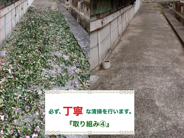 『必ず、丁寧を大切に。』職人の伐採･抜根作業サービスの画像