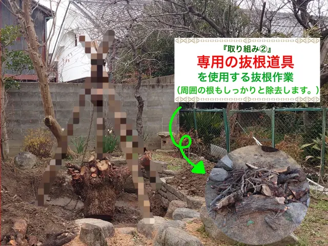 『必ず、丁寧を大切に。』職人の伐採･抜根作業サービスの画像