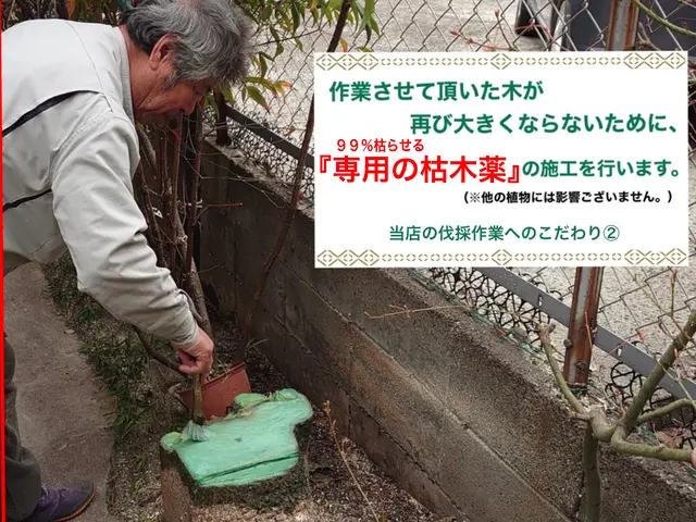 【総額表示】当店はゴミ処分費用込みの総額表示になります(^ ^)。サービスの画像