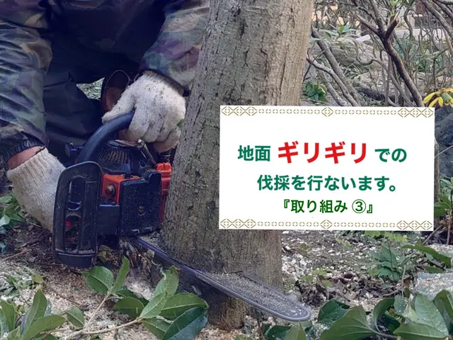 『必ず、丁寧を大切に。』職人の伐採･抜根作業サービスの画像