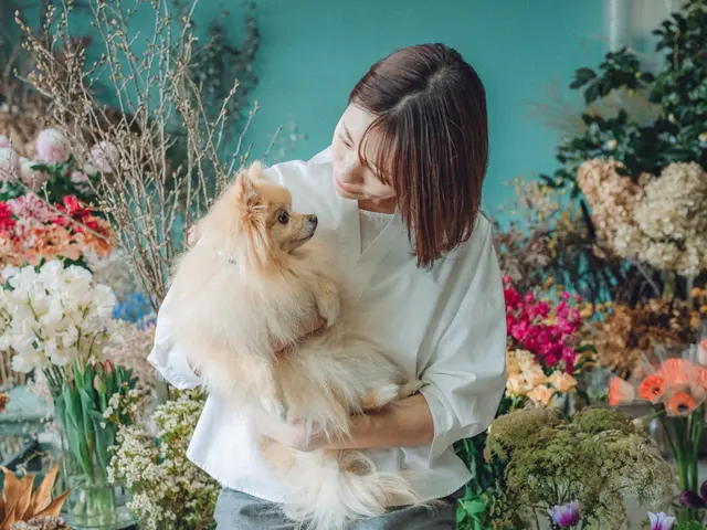 【新規受付休止中】大切なご家族を愛情いっぱいにお世話します！サービスの画像