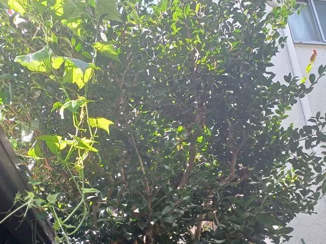 【町田市発】駐車場代当店負担◎営業時間外・対応地域外のご予約もご相談ください！サービスの画像