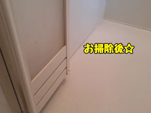 【ペットのご自宅大歓迎！】水回りのお掃除が得意♪お掃除道具は当店が準備します！サービスの画像