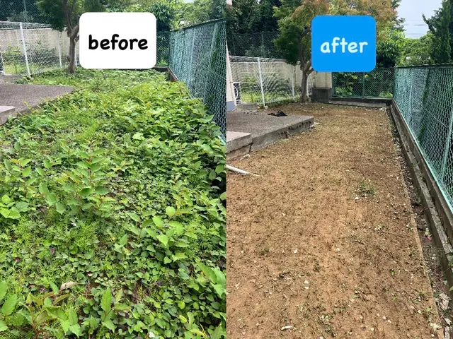 我孫子の方は2000円引き♪★我孫子の草むしりは私にお任せ下さい♪サービスの画像