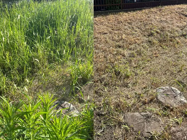 我孫子の方は2000円引き♪★我孫子の草むしりは私にお任せ下さい♪サービスの画像