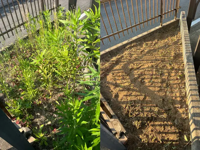 我孫子の方は2000円引き♪★我孫子の草むしりは私にお任せ下さい♪サービスの画像