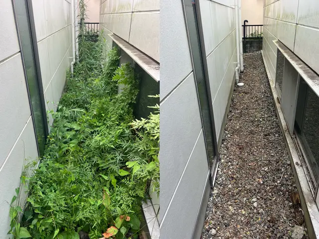 我孫子の方は2000円引き♪★我孫子の草むしりは私にお任せ下さい♪サービスの画像