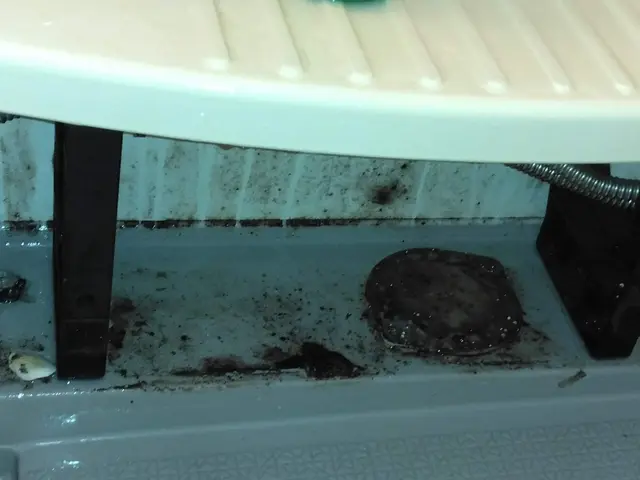 面倒な水廻り5箇所のクリーニングサービスの画像