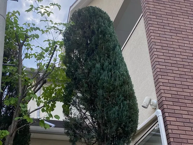 女性スタッフ同行可能！作業外注一切なし◎親切・丁寧に対応いたします。サービスの画像