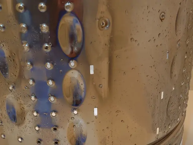 全メーカー対応✾高圧洗浄機で洗浄✾洗濯槽クリーナーで酷くなったワカメの除去に✾サービスの画像