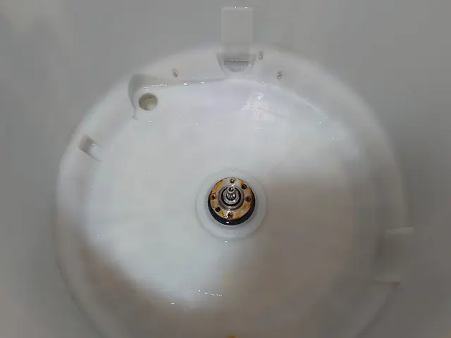 全メーカー対応✾高圧洗浄機で洗浄✾洗濯槽クリーナーで酷くなったワカメの除去に✾サービスの画像