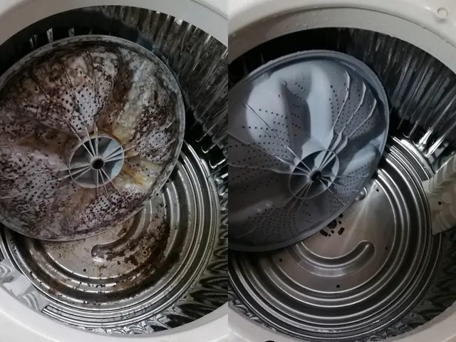 全メーカー対応✾高圧洗浄機で洗浄✾洗濯槽クリーナーで酷くなったワカメの除去に✾サービスの画像