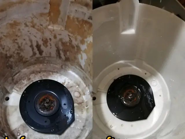 全メーカー対応✾高圧洗浄機で洗浄✾洗濯槽クリーナーで酷くなったワカメの除去に✾サービスの画像