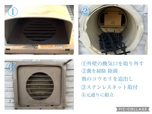 ★経験豊富な有資格者が対応☆コウモリの追出し☆糞の清掃除菌☆再侵入防止☆低価格サービスの画像