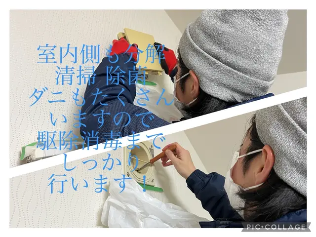 ★経験豊富な有資格者が対応☆コウモリの追出し☆糞の清掃除菌☆再侵入防止☆低価格サービスの画像