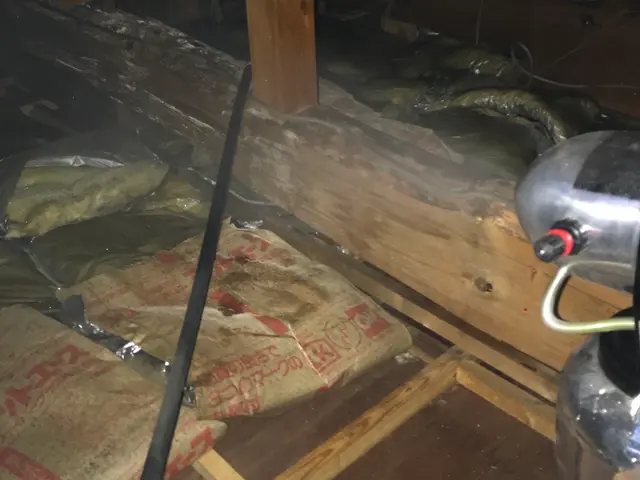 ☆ネズミ全般に対応。屋根裏二日間からの施工、先にお問い合わせ下さい。サービスの画像