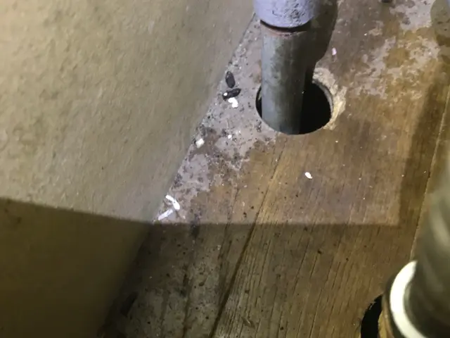 ☆ネズミ全般に対応。屋根裏二日間からの施工、先にお問い合わせ下さい。サービスの画像