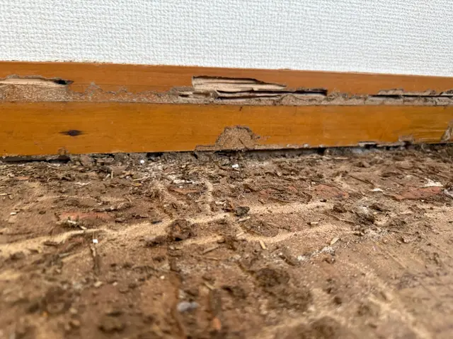 最短3日以内での施工可能！安心の保証つき！サービスの画像