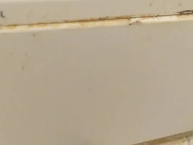 オータムフェア　10月中の清掃限定価格です。11月から年末料金となります。サービスの画像