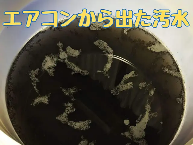 【6月新規出店！】お掃除機能付き対応可【女性スタッフ同行可、要相談】サービスの画像