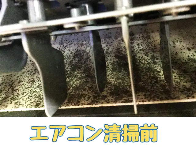 【6月新規出店！】お掃除機能付き対応可【女性スタッフ同行可、要相談】サービスの画像