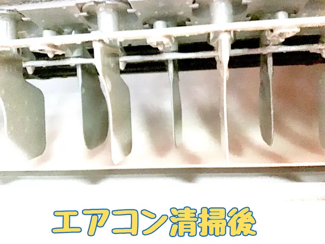 【6月新規出店！】お掃除機能付き対応可【女性スタッフ同行可、要相談】サービスの画像