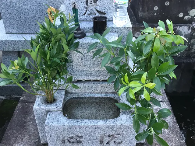 お忙しいお客様へどんなことでも親切、丁寧に代行いたします！サービスの画像