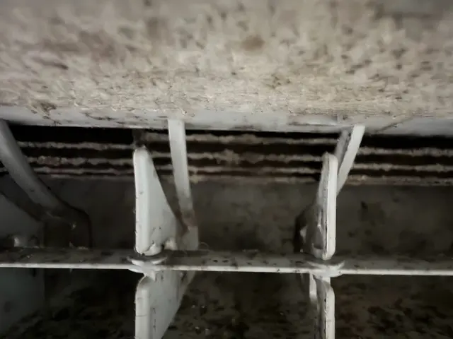 新規出店キャンペーン！お客様満足度重視の丁寧なお掃除サービスサービスの画像