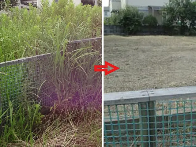 暑い夏の草刈りはプロにお任せください。ご満足いただけます。サービスの画像