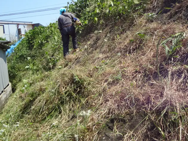 暑い夏の草刈りはプロにお任せください。ご満足いただけます。サービスの画像