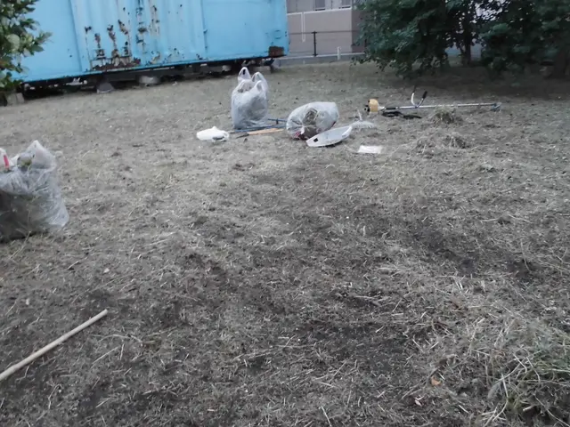 暑い夏の草刈りはプロにお任せください。ご満足いただけます。サービスの画像