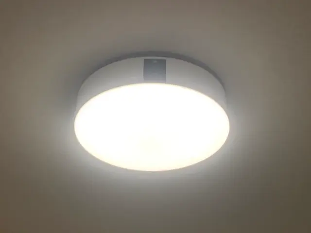 脚立を用いた高所作業承ります！サービスの画像