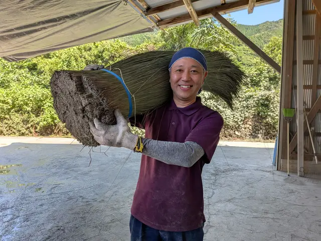 畳の新調から表替えまでご相談下さいサービスの画像