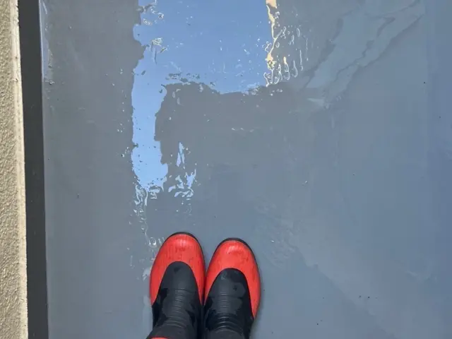 翌日可！有資格者によるカラス駆除&防止策！獰猛なカラスからの被害0目指す専門家！サービスの画像