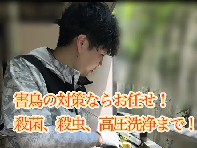 翌日可！有資格者によるカラス駆除&防止策！獰猛なカラスからの被害0目指す専門家！サービスの画像