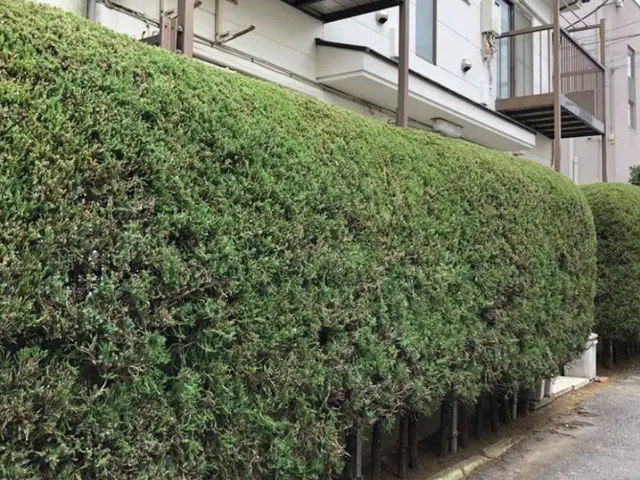 《業歴28年》職人親子でお伺い！スピーディーで丁寧な作業！電子マネー・QR決済可サービスの画像