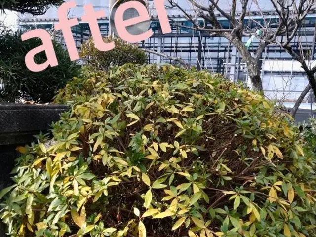 《業歴28年》職人親子でお伺い！スピーディーで丁寧な作業！電子マネー・QR決済可サービスの画像