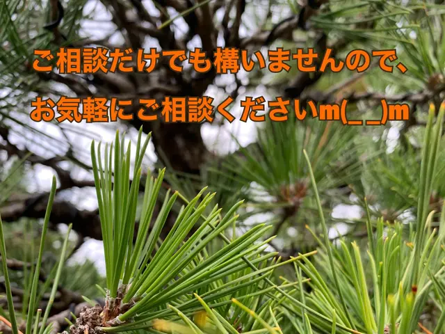 《業歴28年》職人親子でお伺い！スピーディーで丁寧な作業！電子マネー・QR決済可サービスの画像