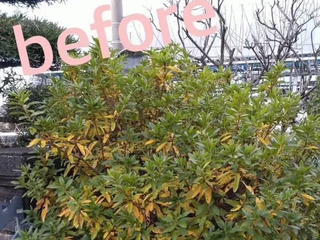 《業歴28年》職人親子でお伺い！スピーディーで丁寧な作業！電子マネー・QR決済可サービスの画像