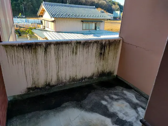 【PayPay使えます】年中無休！外壁、塀高圧洗浄！苔、黒ずみ落とせます！サービスの画像