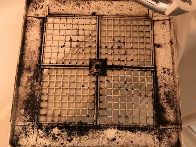 クレジットカード利用OK  PayPayokサービスの画像