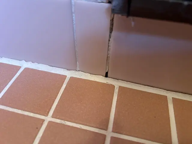 24時間、当日可能です！国家資格取得のプロによる徹底駆除！まずは無料相談から→→サービスの画像