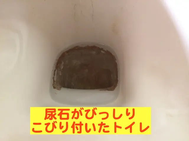 ■快適トイレに復活■　尿石汚れ除去 複数台割引有　保険加入済サービスの画像