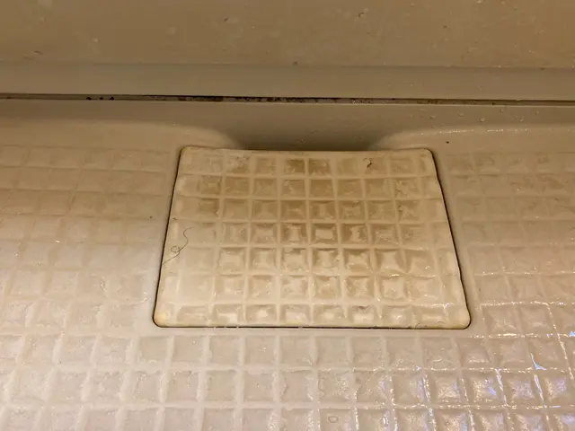 天井のカビ，石鹸カスが付着した壁とか，気になりませんか？浴室クリーニングで解決！サービスの画像