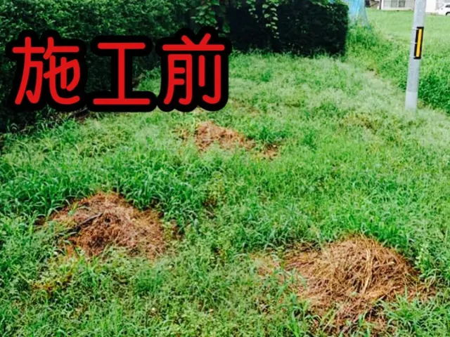 【三重県発】防草シートを貼ると草刈りがとっても楽になりますよ！サービスの画像