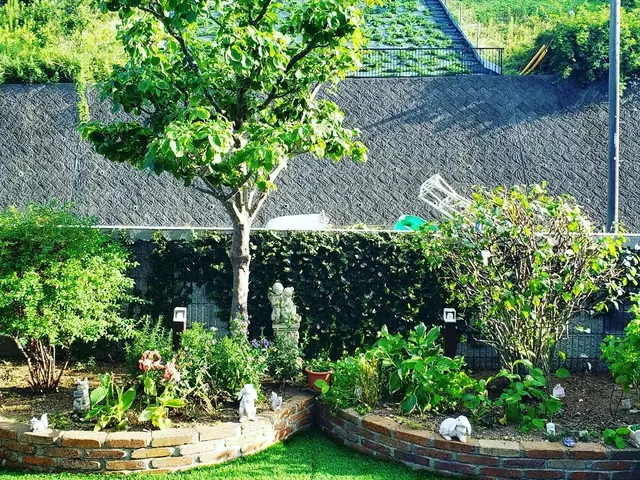 お庭スッキリしませんか？小さなご依頼もお任せください！サービスの画像