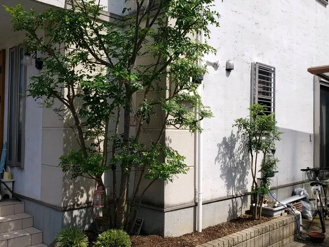 お庭スッキリしませんか？小さなご依頼もお任せください！サービスの画像