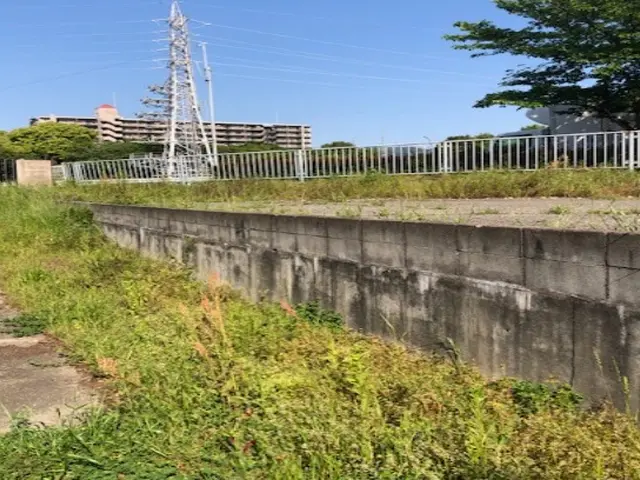 ◆女性スタッフ必ず同行◆広いお庭や空き地の草刈りを一気に！サービスの画像