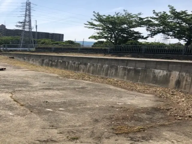 ◆女性スタッフ必ず同行◆広いお庭や空き地の草刈りを一気に！サービスの画像